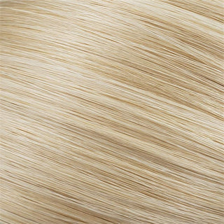 Flat Clip-In 18" Hair Extensions Color 22 Pale Golden Platinum